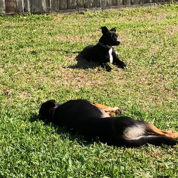 Meet your Posher, Sandi - Picture 1 of 1